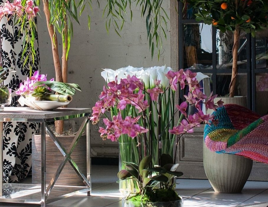 ФИТОДИЗАЙН